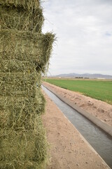 alfalfa, baled alfalfa, livestock silage, livestock fodder, 