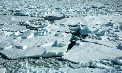 Drift ice Spitsbergen © AGAMI