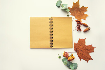 Autumn vintage composition. Old vintage notebook with autumn dried leaves, acorn, pine cone, dry berries on a pastel background. Toned image. Flat lay, top view, copy space.