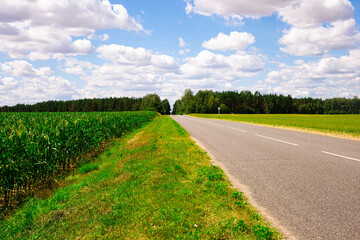 Fototapeta na wymiar landscape with road going into perspective, green fields and blue sky with cumulus clouds