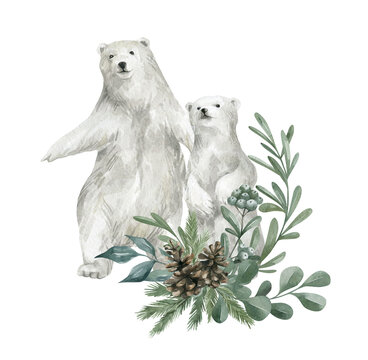 Watercolor illustration with a cute polar bear and floral bouquet. Cute winter animal, wildlife, illustration with bear. Adorable wild antarctic mammal and spruce branch and leaves