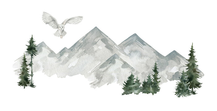 Watercolor illustration with white owl, trees and snowy mountain landscape. Realistic hand-painted winter wild bird and fir trees isolated on white background. Arctic owl in the air.