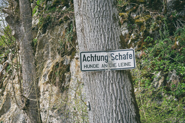 Schild Achtung Schafe - Hinweisschild, Achtung Schafe Hunde an die Leine, an einem Baum.