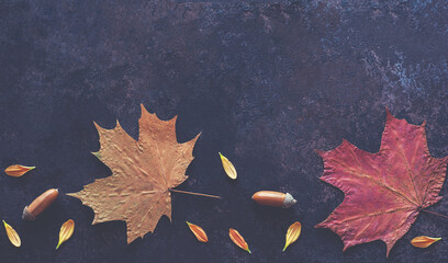 Autumn flowers and leaves composition with copy space. Frame made of autumn dried leaves on dark background. Flat lay, top view. Toned image.