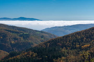 Fototapeta premium On top