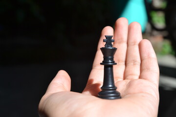 Chess piece and human hand.