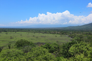 Obraz premium View of the vast savanna meadows. 