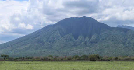 A beautiful mountain in the middle of the savanna.