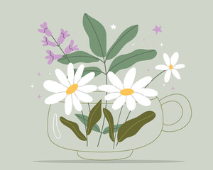 Herbal tea with chamomile and thyme.Natural herbs medicine.  Vector design with herbal tea ingredients.Simple illustration.
Cute Poster.