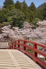 室生寺の橋と桜