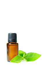 Essential oils in dark glass bottle with aroma herbs.
