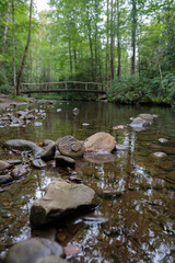 Low angle of a creek in the woods with a bridge in the distant background