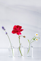 Transparent bottles with fresh herbs for aromatherapy
