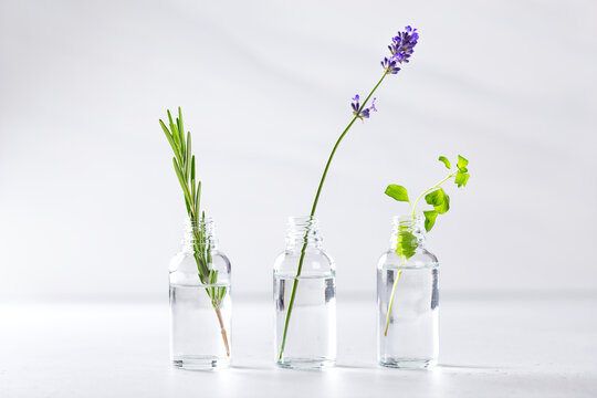 Transparent bottles with fresh herbs for aromatherapy