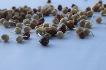 sprouted pea and Gram seeds in white background.