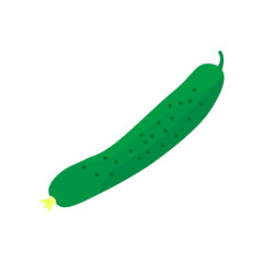 Delicious cucumber icon