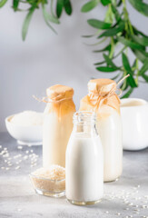 Rice milk in bottles, closeup, gray background. Non dairy alternative milk. Healthy vegetarian food and drink