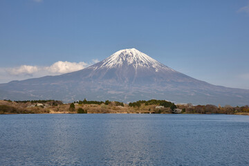 Fototapeta premium 田貫湖からの富士山