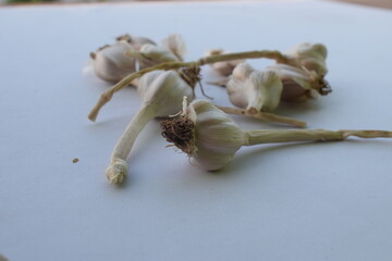 peeled garlic on white background