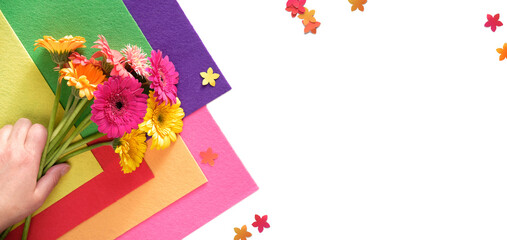 Hand holding gerbera daisy flowers with confetti and felt. Isolated panoramic image, text space.