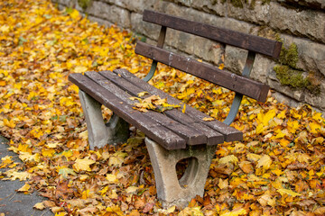 Wooden bench surrounded by colorful autumn leaves