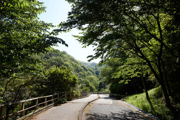 らくらく登山道
