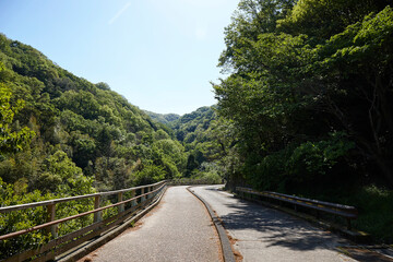 らくらく登山道