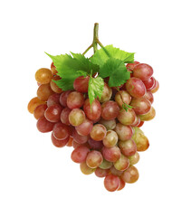 Fototapeta premium Bunch of fresh ripening red grapes with leaves isolated on white