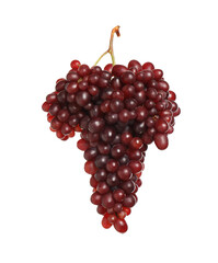 Bunch of fresh ripe juicy red grapes isolated on white