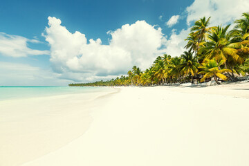 White sandy beach with sea and palms