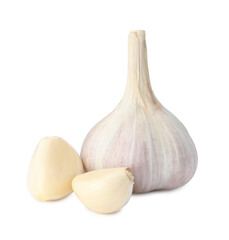 Fresh organic garlic bulb and cloves on white background