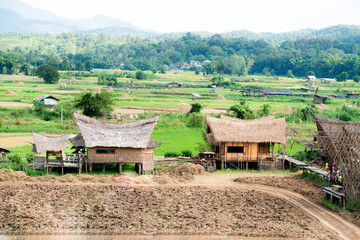 Thatched roof house and dirt path in Thailand. Typical thai farmer house made with thatched roof and small agriculture field on mountain background. Farmer lifestyle.