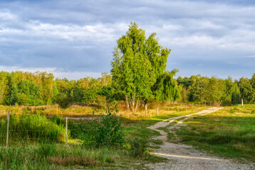 Wanderweg durch die Wahner Heide bei Köln