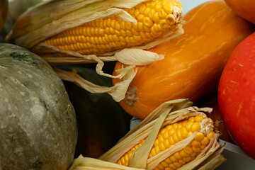 Autumn harvest of pumpkins and other vegetables