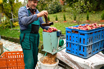 Fruit grower  throws apples into a crusher machine making brash