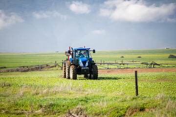 Wide angle image of a crop spray machine spraying chemicals on wheat crop on a farm in south africa