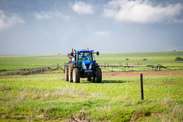Fototapeta premium Wide angle image of a crop spray machine spraying chemicals on wheat crop on a farm in south africa