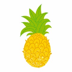 Pineapple. Exotic tropical fruit with stamp texture, fresh whole juicy yellow ananas with green leaves, vector cartoon isolated on white background single illustration
