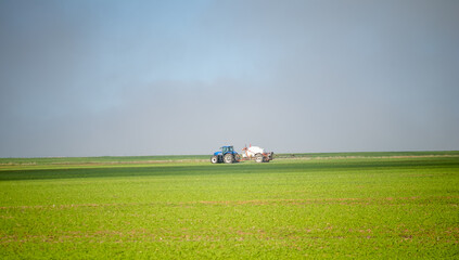 Fototapeta na wymiar Wide angle image of a crop spray machine spraying chemicals on wheat crop on a farm in south africa