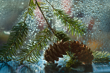 Pine cones and fir branches in a window