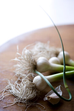 Food photograph of green garlic, scales and garlic