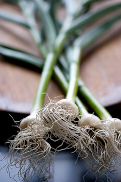 Food photograph of green garlic