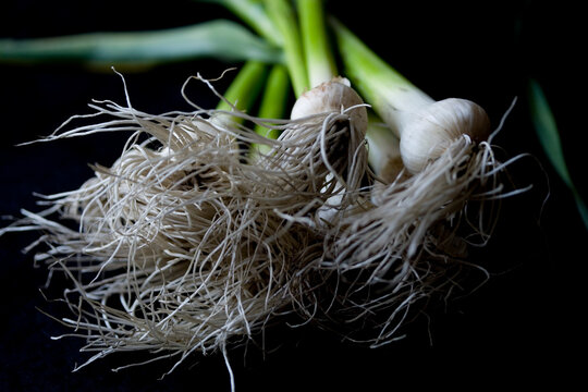 Food photograph of green garlic