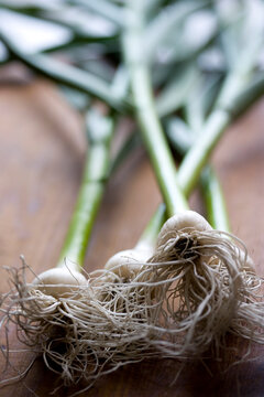 Food photograph of green garlic