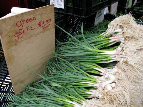 Green garlic in grocery shop