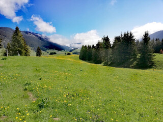 Le plateau des Glières ensoleillé