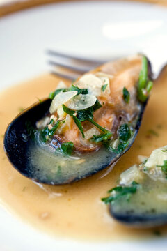 Ale steamed mussels with garlic and mustard on plate