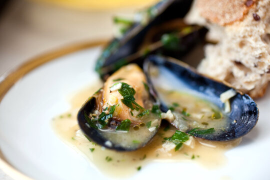 Ale steamed mussels with garlic and mustard on plate