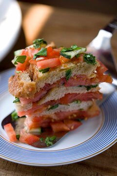 Close up of tomato bread salad