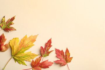 Colorful autumn leaves on beige background, flat lay. Space for text